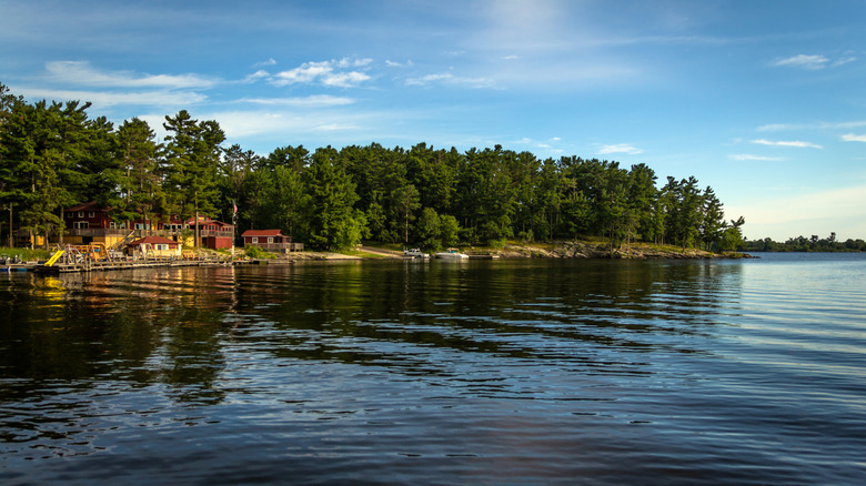 Resort, cabins, and trees on the lakeshore
