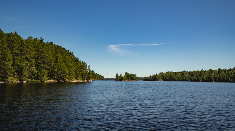 Lake with pine trees on the shoreline