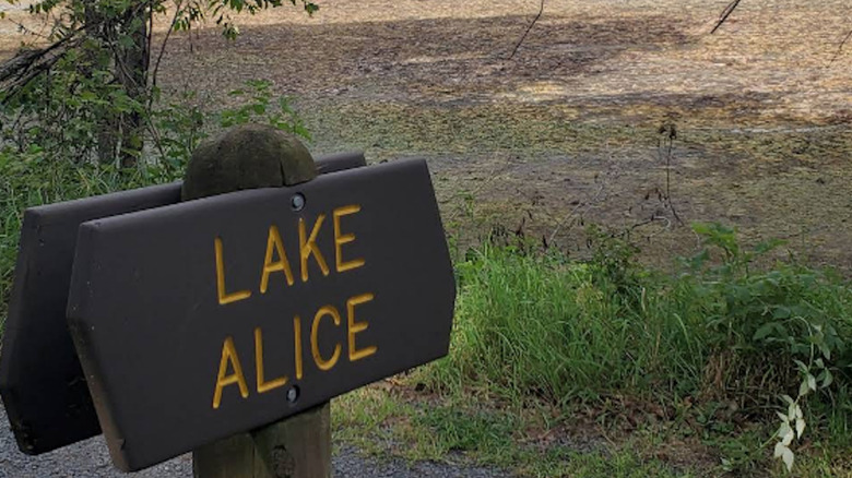 A sign beside the dried-up Lake Alice in William O'Brien State Park