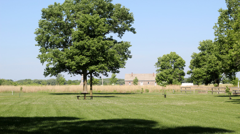 Trees and picnic tables stand beneath a clear sky in Fort Ridgely State Park, Minnesota