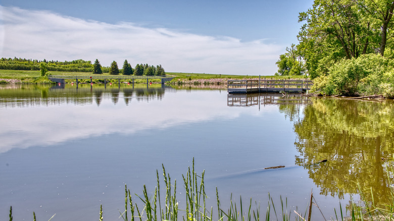 Dock on water at Split Rock Creek State Park in Minnesota bordered by trees and grass.