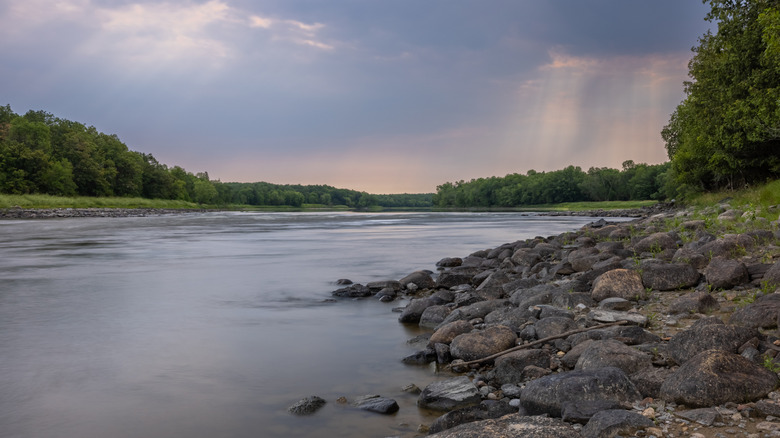 A view of Rainy River at Franz Jevne State Park