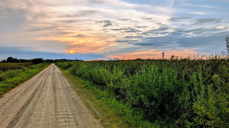 A colorful sunset over the grasslands at Carlos Avery State WMA in Minnesota