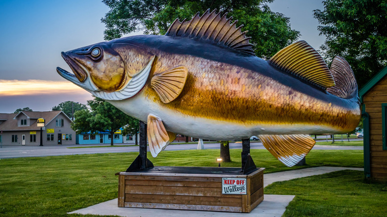 Large walleye fish statue