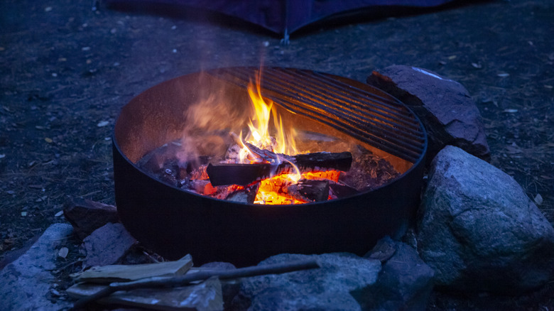 A campfire in Lake Bemidji State Park, Minnesota