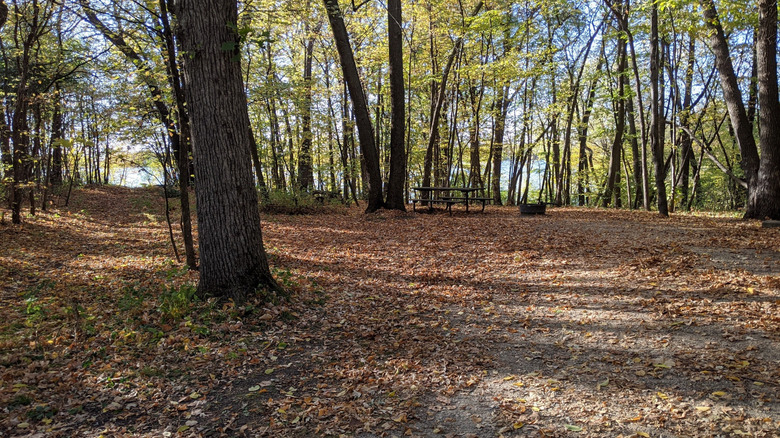 Picnic table and fire ring at campsite, surrounded by trees, at Monson Lake State Park
