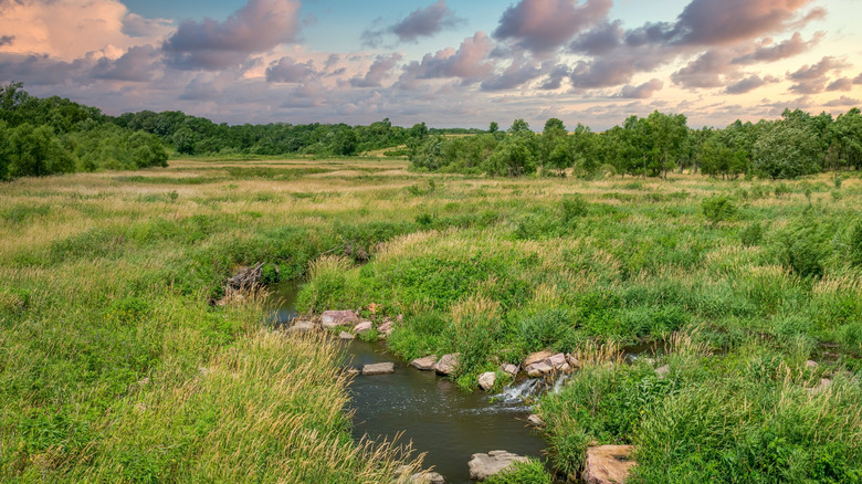 Creek and grassland in Blue Mounds State Park
