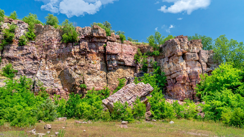 Quartzite rock cliffs and trees in Blue Mounds State Park