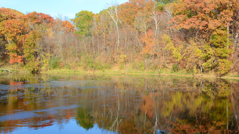 Reflections of fall foliage on a lake at Lake Maria State Park