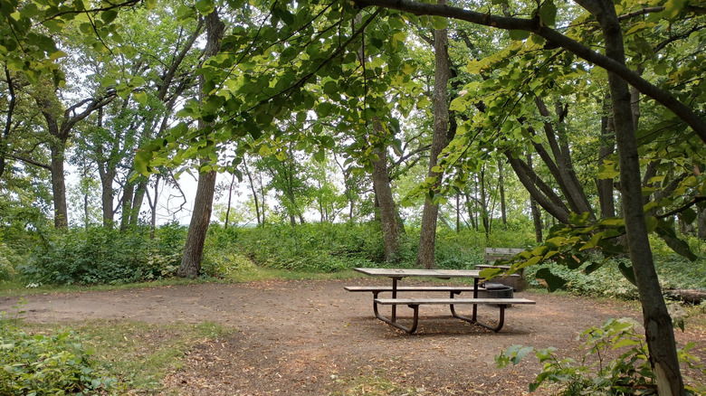 A picnic table and fire pit at a rustic campsite in Glendalough State Park, MN.