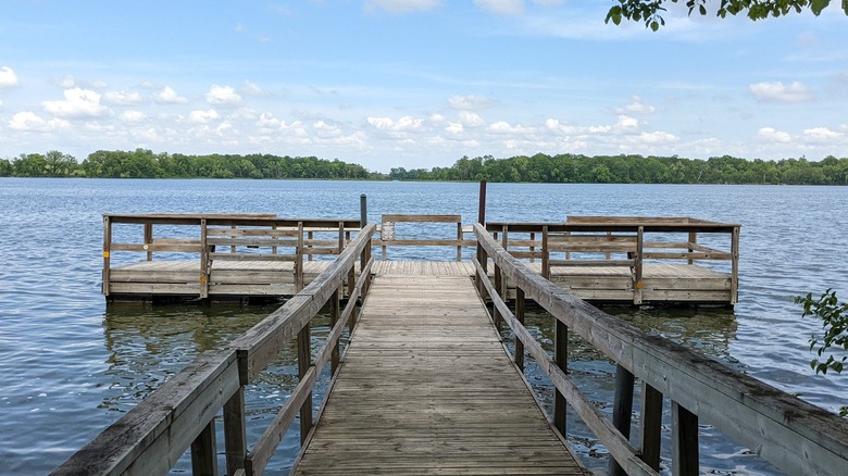 A wooden pier looks out over the water and the forest at the opposite shore on Greenleaf Lake in Minnesota
