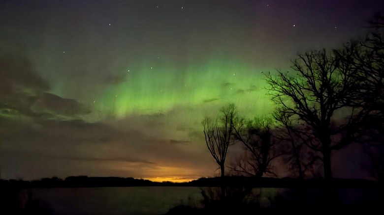 A green aurora is seen in the night sky above Greenleaf Lake in Minnesota