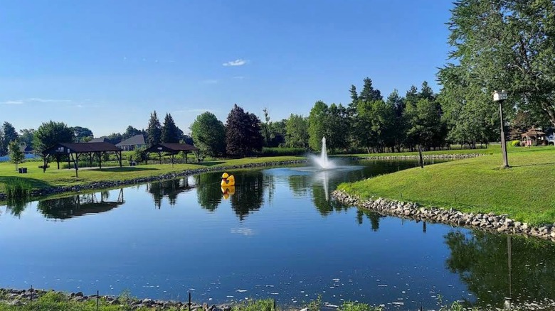 pond, birdhouse, bird feeder, fountain in Stiglmeier Park, Cheektowaga, New York