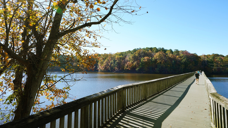 Boardwalk path surrounded by a lake and greenery in Lake Johnson Park in Raleigh, North Carolina