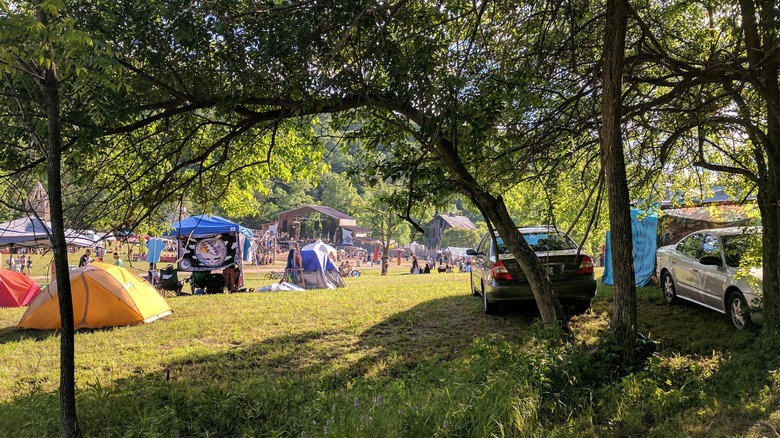 Grassy field at Tower Grove Park, St. Louis, Missouri designated as a festival camping area with parked cars and pitches tents