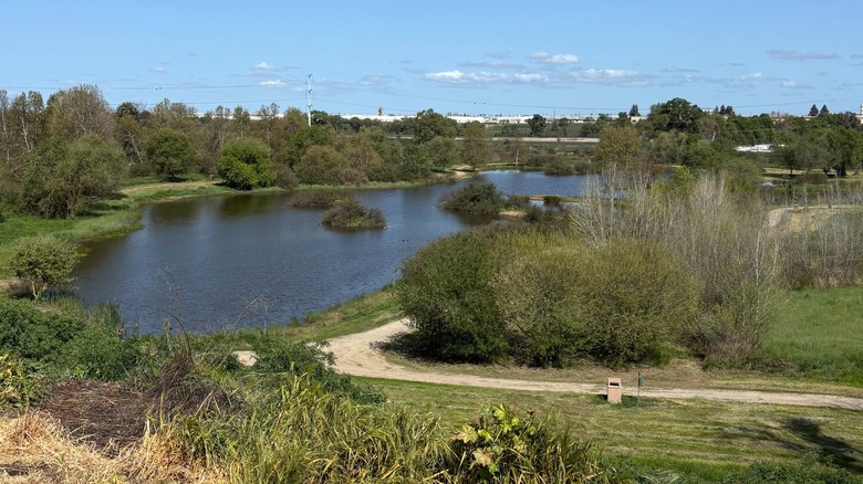 View of the lagoon at Ceres River Bluff Regional Park