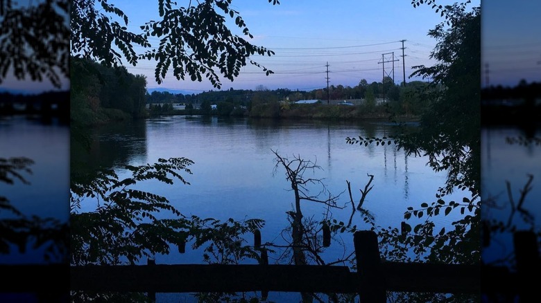 River at Cecil Moses Memorial Park