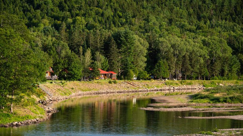 Buildings surrounded by nature along the shores of the Miramichi River
