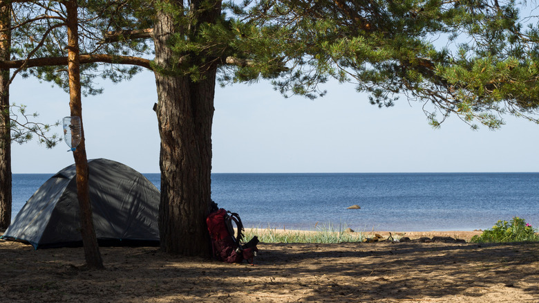Tent pitched at the waterfront campground
