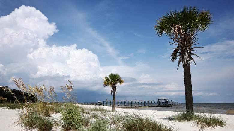 Palm trees, sand, and clouds on the Gulf Coast in Waveland, Mississippi
