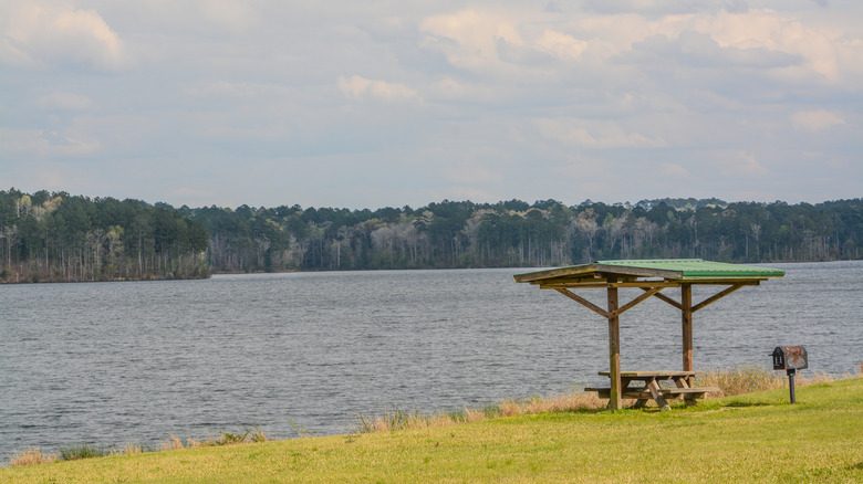 Picnic area overlooking Okhissa Lake, Mississippi