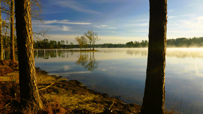 ﻿﻿Lake and trees in Paul B Johnson State Park in Mississippi