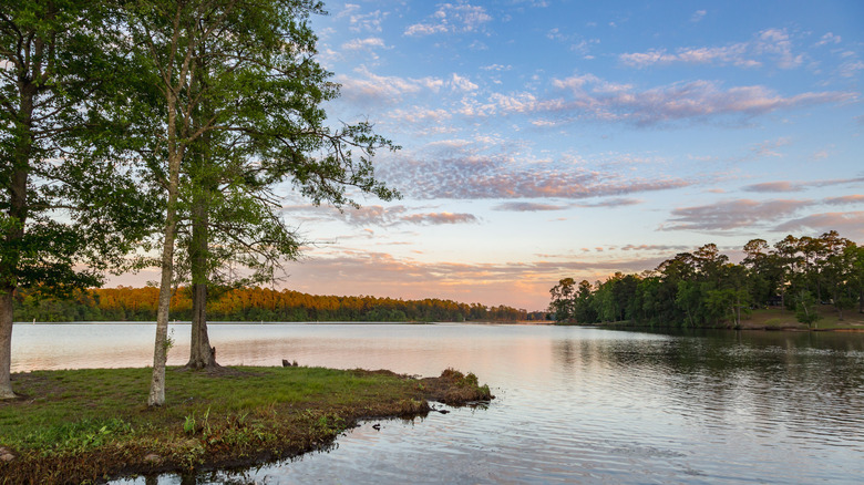 Lake on the outskirts of Hattiesburg, Mississippi