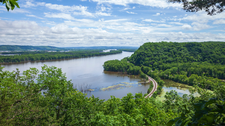 Aerial view of the Mississippi River and surrounding greenery