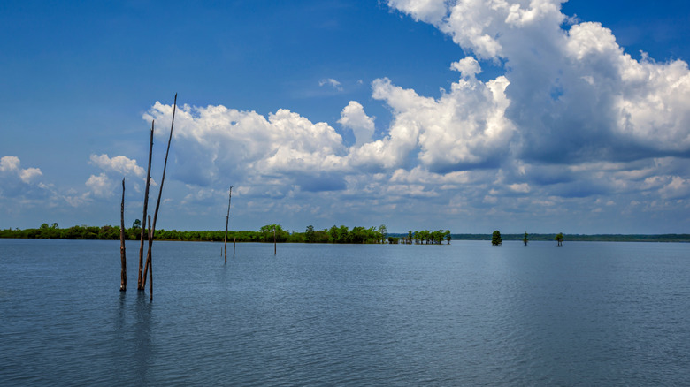 Sardis Lake spanning towards far shore