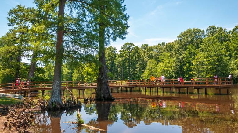 Visitors standing on a pier at Leroy Percy State Park in Mississippi, surrounded by a creek and greenery.