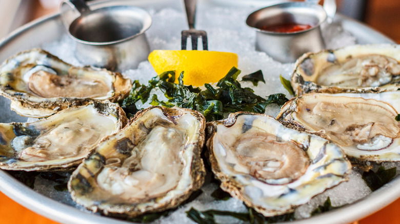 Gulf oysters on the half shell