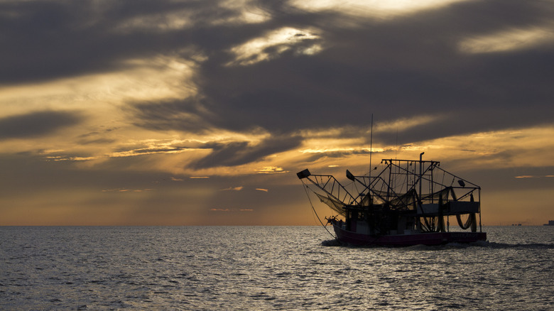 A Mississippi shrimp boat headed out to sea