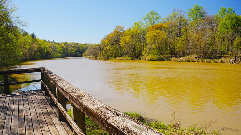 Tombigbee River in Mississippi