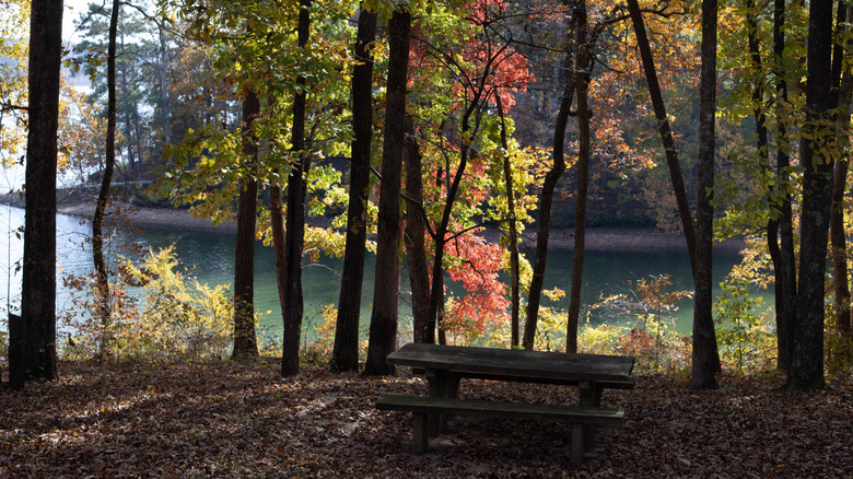 A picnic table by the water