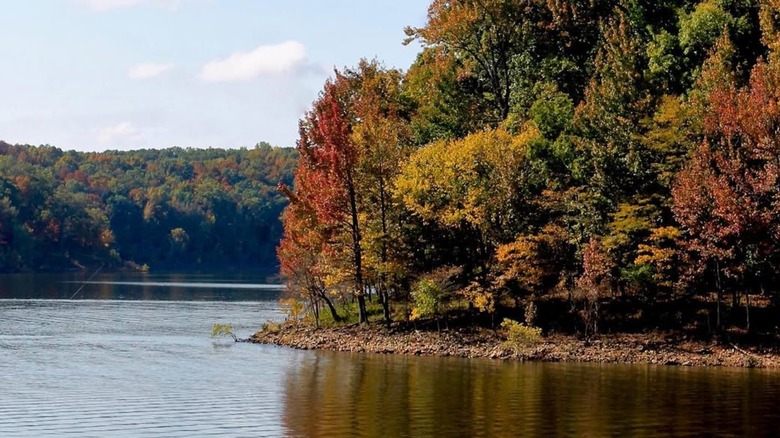 Autumn foliage surrounding Lake Wappapello in Missouri