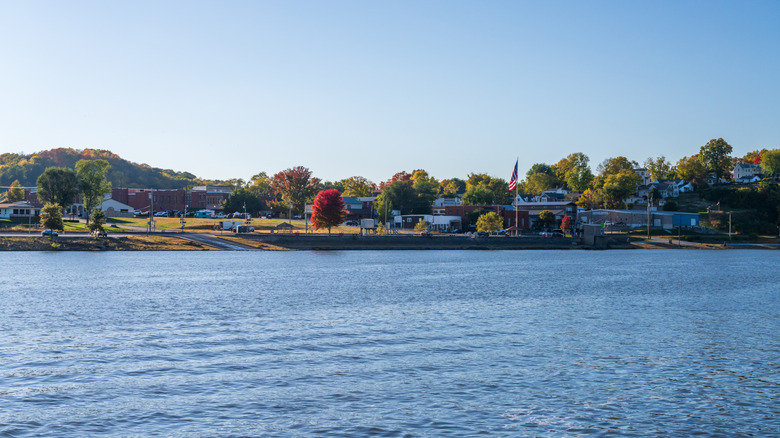 A view of Louisiana buildings and parks from the Mississippi River