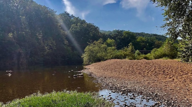View of creek and forest at Sam A. Baker State Park in Missouri