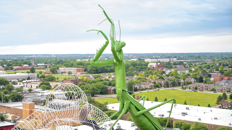 A praying mantis sculpture with a wide view of St. Louis in background