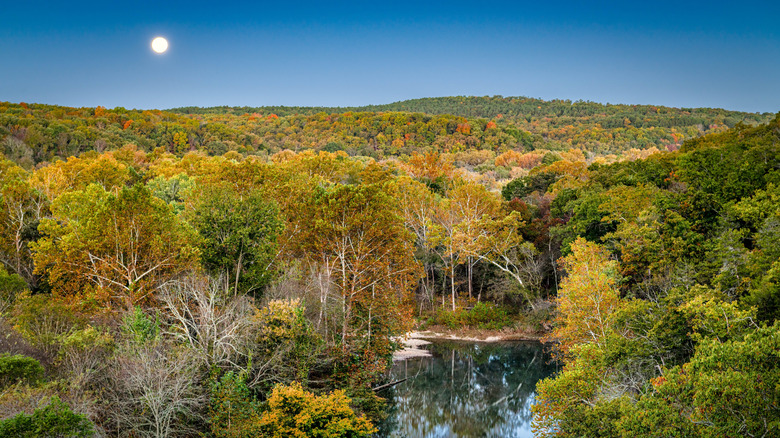 forested landscape of the Ozarks with autumn colors