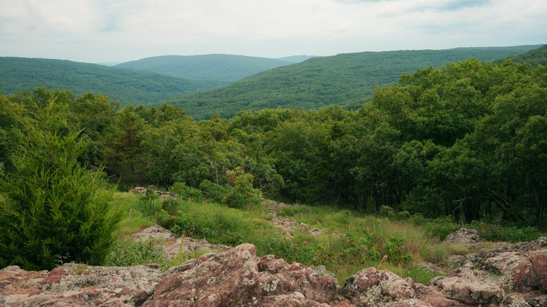 Taum Sauk Mountain State Park