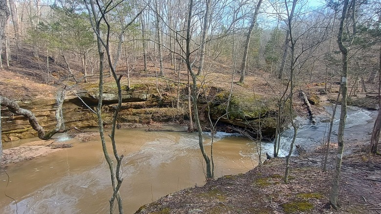 A seasonal creek and a small waterfall spill over the cliffs at Don Robinson State Park