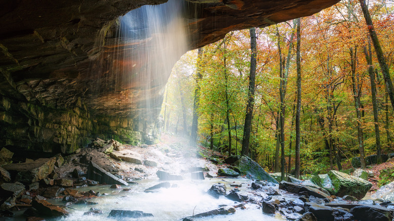 Sunlight shining into a cave in the Ozarks