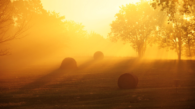 Hay bails in a field under an orange sunset sky