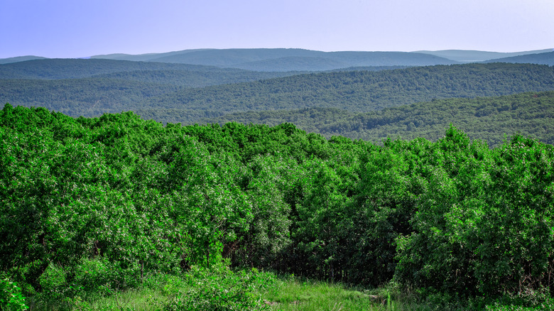 View of the Ozark Mountains from Taum Sauk Mountain