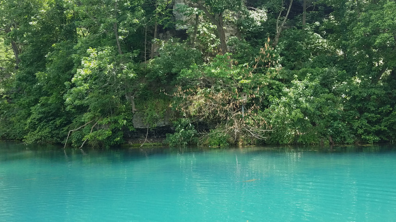 The trout hatchery with clear blue waters at Roaring River State Park, Missouri