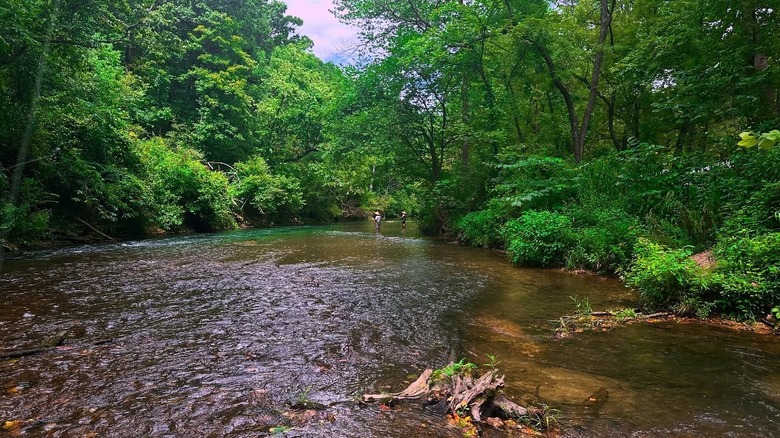river in Montauk State Park