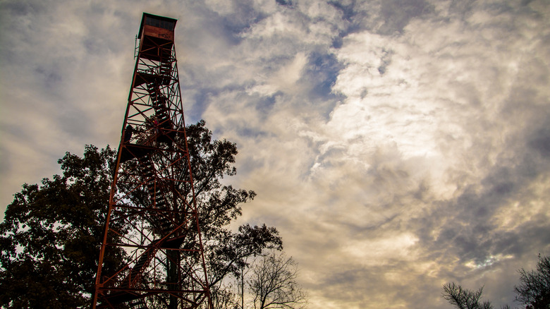 A red fire tower shot from the base, in front of a tree and cloudy sky