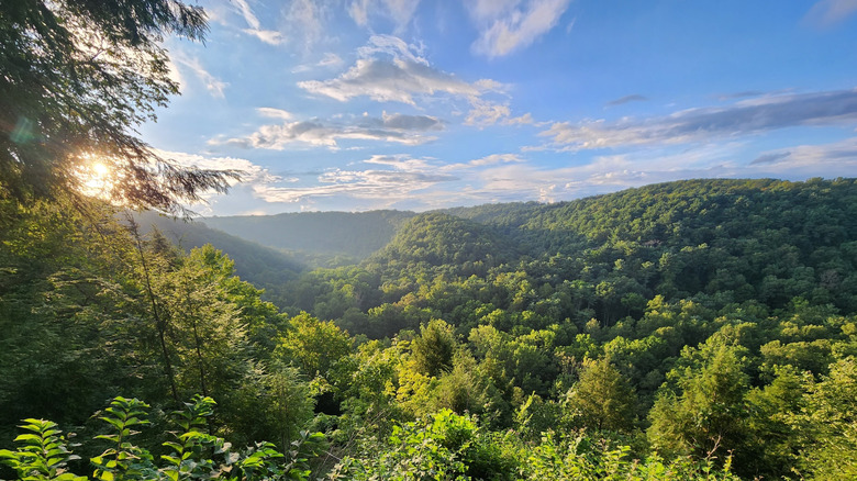 Green forest over rolling hills under a cloudy blue sky, with the sun behind a tree on the left side of the frame