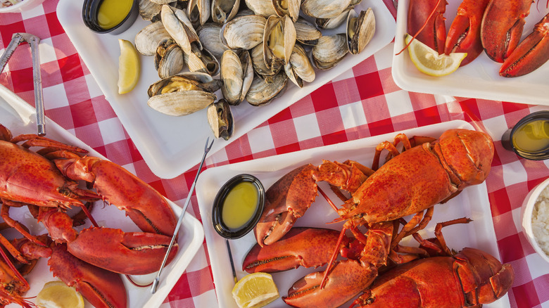 Lobster and clams dinner on a white-and-red-checkered tablecloth
