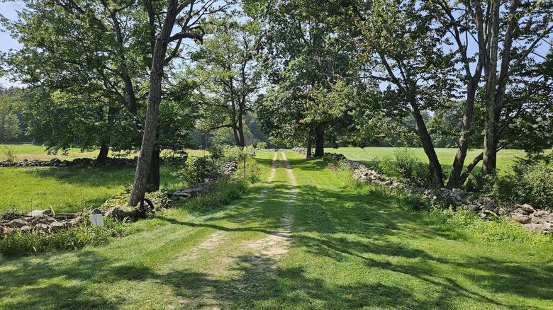 A grassy road lined with stone walls at the Monson Center, New Hampshire
